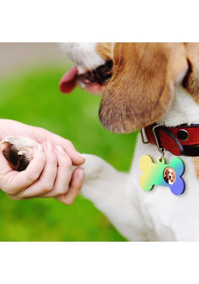 Epoksi Silikon Kalıp Kemik Kedi Ve Köpek Çoklu Tasma İsimlik Kalıbı