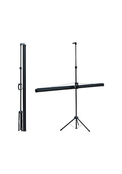 Codegen Tx-20 200X200 Cm Tripod Ayaklı Taşınabilir Manuel Projeks
