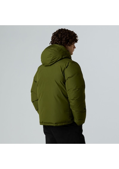 The North Face Unisex Rmst Gore-tex Himalayan Tek Kaz Tüyü Mont Nf0a8cg5brı1 Çok Renkli