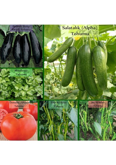 6 Paket Tohum No9 Halep Karası Patlıcan Tohumu Salatalık Domates Tatlı Acı Kıl Biber Maydanoz Tohumu 1 Set