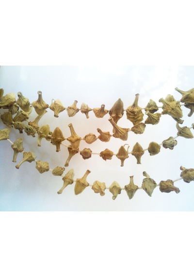 Kuru Çiçek Bamya 100 G