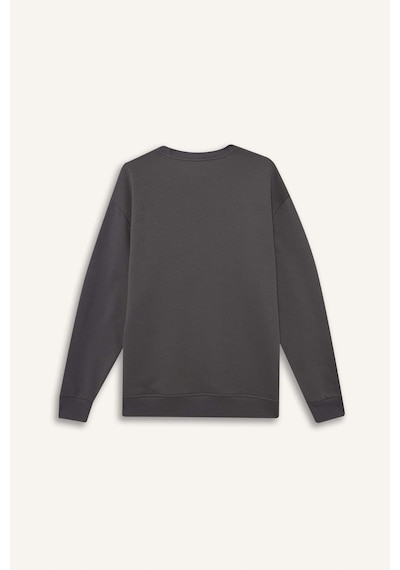 Defacto Relax Fit Bisiklet Yaka Kalın İçi Yumuşak Tüylü Basic Düz Sweatshirt T5139az25augr438 Gri