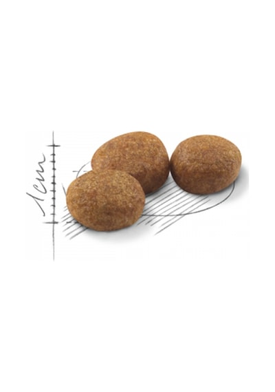 Royal Canin Sterilised37 Kısırlaştırılmış Yetişkin Kedi Maması 2 x 4 KG