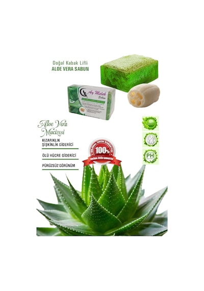 Aloe Vera Özlü Doğal Kabak Lifli Güzellik Sabunu Cilt   Etkili Diğer