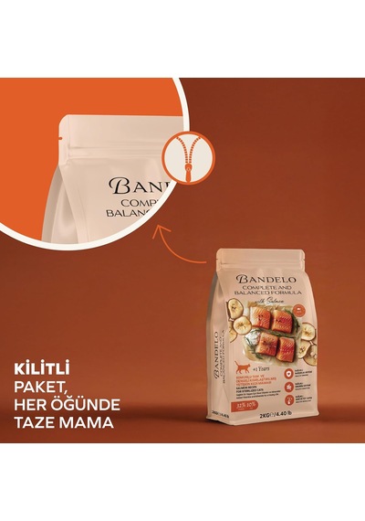 Tr Kısırlaştırılmış Somonlu Yetişkin Kuru Kedi Maması 2 Kg - Vitamin İlaveli Tam Ve Dengeli Kilo Kontrolü, Y