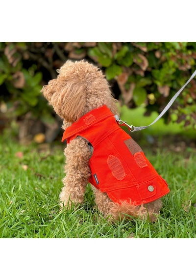 Yeni - Orange Renk Kot Köpek Yeleği - Küçük Irklar İçin Şık Ve Ra