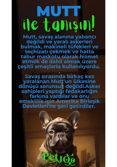 Petjoo 10.Mutt Yeşil-Mavi Qr'lı Köpek Künyesi