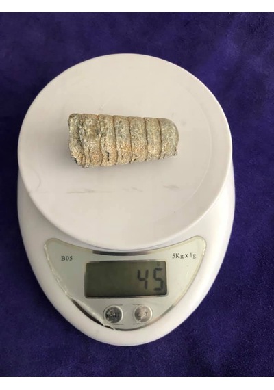 Kafadanbacaklı Baculites Fosil 45 Gram
