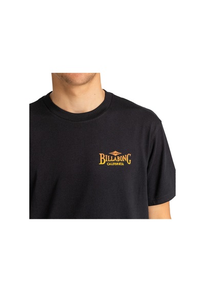Bıllabong Billabong Dreamy Place Tees Erkek Siyah Tişört 19 SIYAH