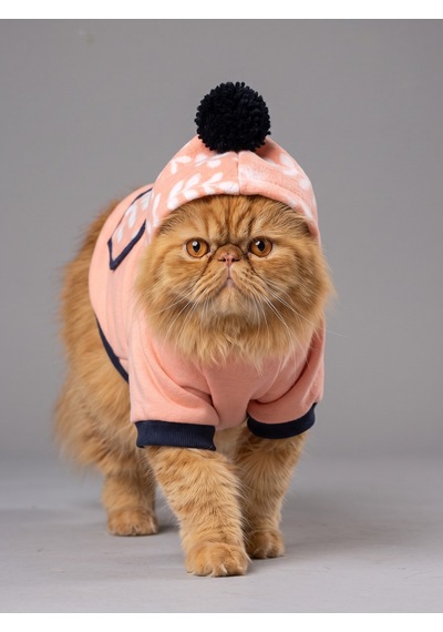 Apeachy Pink Kedi Polar Sweatshirt Sıcak Tutan Yumuşak Kedi Kıyafeti Apeachy Pink Kedi Polar Sweatshirt Sıcak Tutan Yumuşak Kedi Kıyafeti