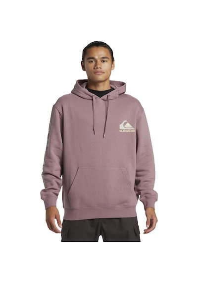 Quiksilver Omni Logo Hoodie Erkek Sweatshirt Mor