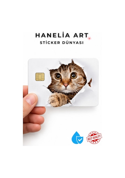 Sevimli Kedi Temalı Kart Sticker Çipli Kart Kaplama Dekoratif Kart Tasarımı Çok Renkli