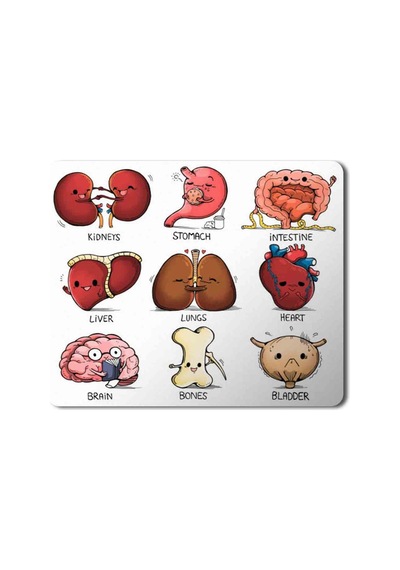 Organlar Vücut Organları Kalp Beyin Kemik Böbrek Baskılı Mousepad Mouse Pad