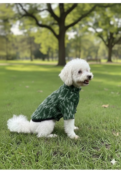Kedi - Köpek Mevsimlik - Kışlık Triko Kazak - Sweat - Mont - Yelek