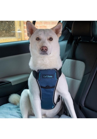 Company Of Animals Carsafe Çarpışma Testli Köpek Harness Göğüs Tasması, Medium Mavi Genel