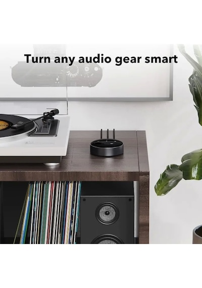 Wiim Mini Airplay2 Kablosuz Ses Aktarıcı