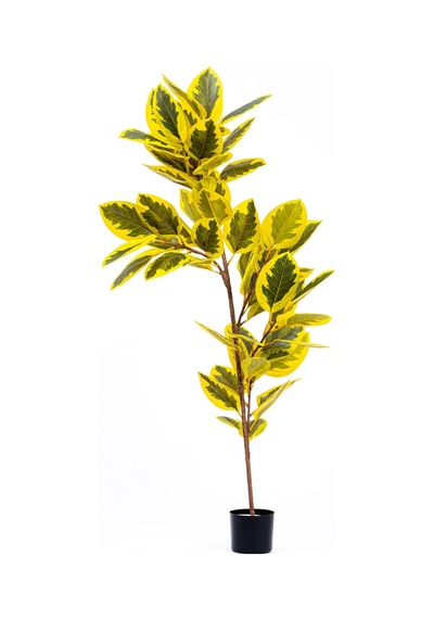 The Mia Yapay Ficus Altissima Ağacı Sarı Yeşil 170 Cm