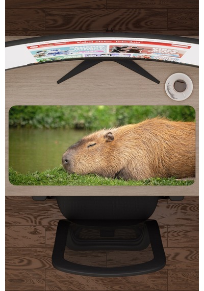 Capybara Kaymaz Dikişli Kauçuk Oyuncu Mousepad V1 - 70x30 Xl Gaming Mouse Pad Fare Altlığı