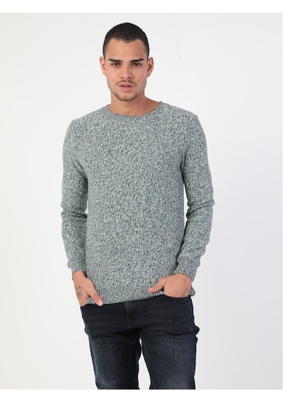 Colin's Slim Fit Bisiklet Yaka Erkek Yeşil Kazak CL1046303_Q1.V1_GRM