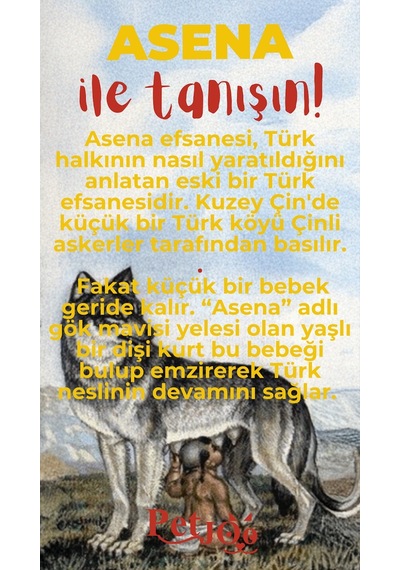 Petjoo 25.Asena Kırmızı-Sarı Qr'lı Köpek Künyesi