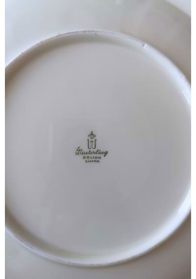 Nurantik Winterling Röslau Alman Pasta Tabağı Renkli