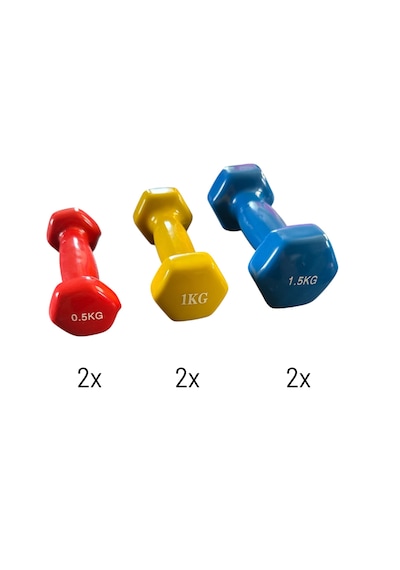 6 Kg Vinly Kaplı Dipping Dumbbell Set Kadınlar İçin Çantalı Dambı