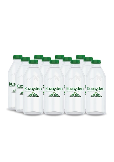 Kuzeyden Premium Doğal Mineralli Su 12x400ml