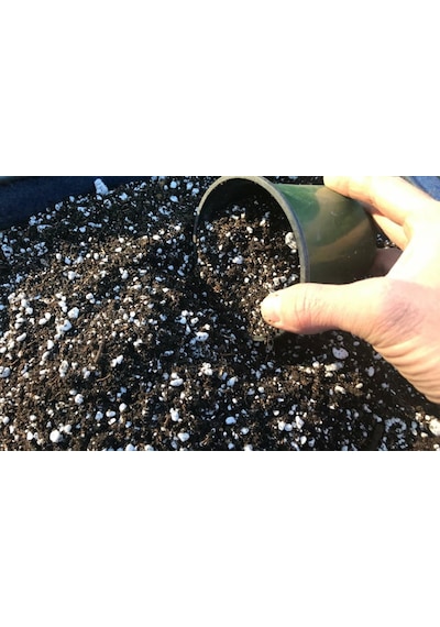 Bluberry Yaban Mersini Toprağı 30 Litre