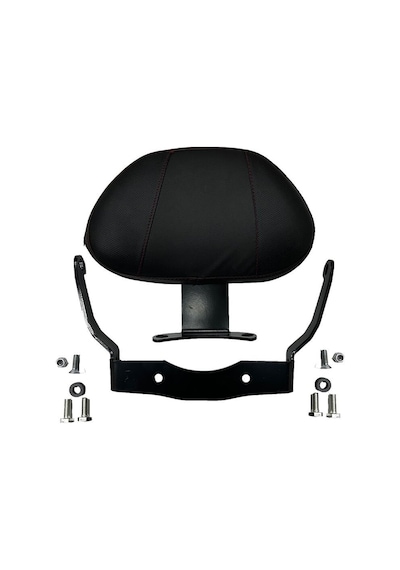 Gogo Sissy Bar Honda Forza 250 2023-2024