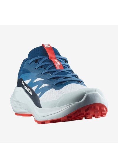 Salomon Alphaglıde Erkek Ayakkabısı L47724300 Çok Renkli