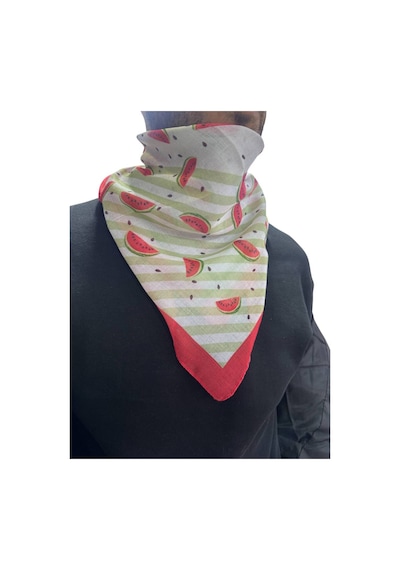 Aldaıyr 2 Adet Filistin Temalı Fular 50x50 Unisex Günlük Kullanıma Uygun Puşi Şal Kefiye Filistin Bayrak Renkli 13938011