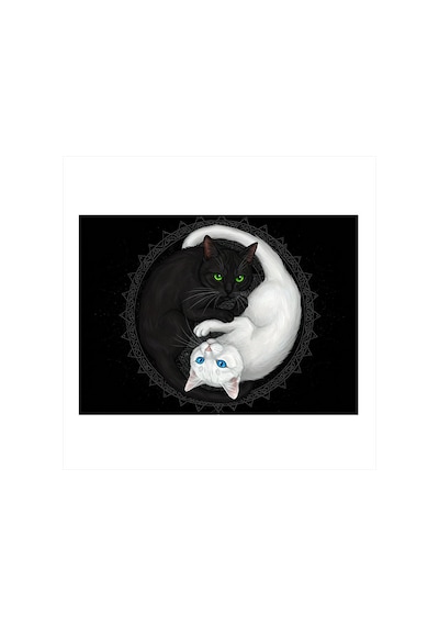 Siyah Ve Beyaz Kedi Çizimi Dekoratif Ahşap Tablo