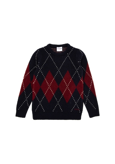 U.S. Polo Assn. Erkek Çocuk Lacivert Bisiklet Yaka Kazak 50295513-VR033