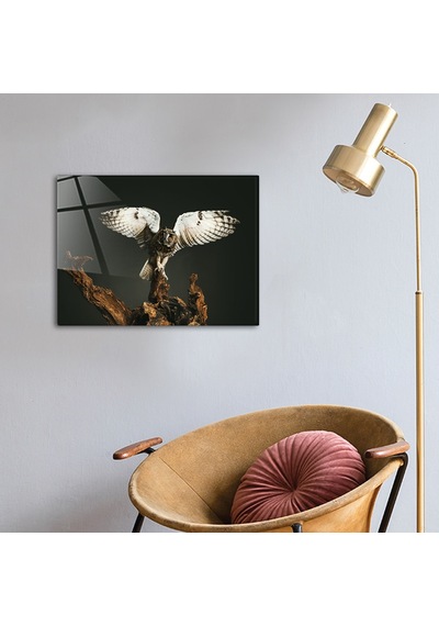 Decorita Hayvanlar | Cam Tablo | Baykuş - Kanatları Açık