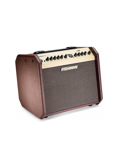 Fishman Loudbox Mini Bluetooth Akustik Amfi