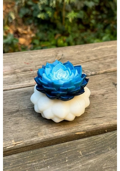 Rufus Concept Kaktüs 4 Silikon Mum Kalıbı Genel