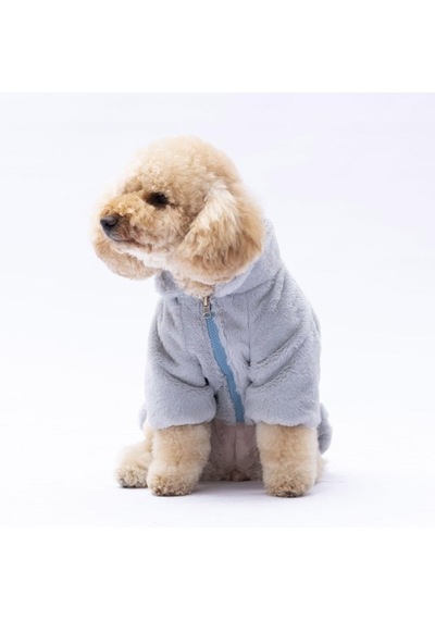 Pawstar Gri Paris Ceket Küçük Ve Orta Irk Ceket