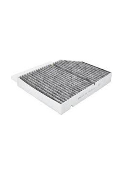 Fıltron Polen Filtresi A1678353600 V167 C167 X167