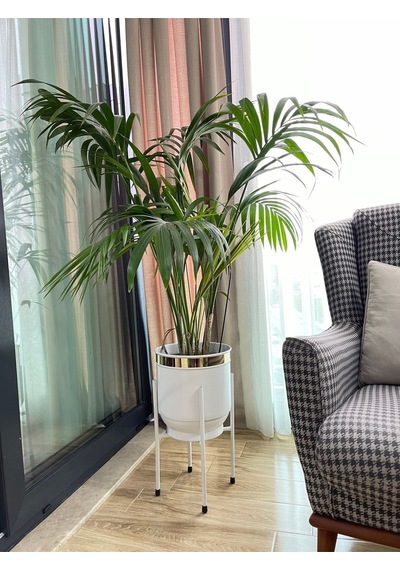 Metal Saksı Ayaklı Çiçeklik Dekoratif Beyaz Saksı Vazo Saksılık 50x30cm
