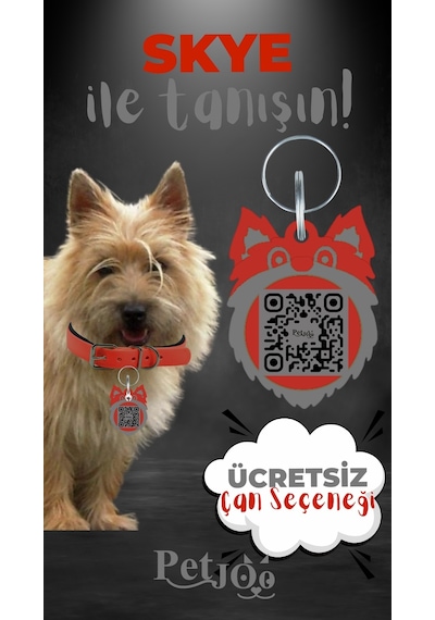 Petjoo 6.Skye Gri-Kırmızı Qr'lı Köpek Künyesi