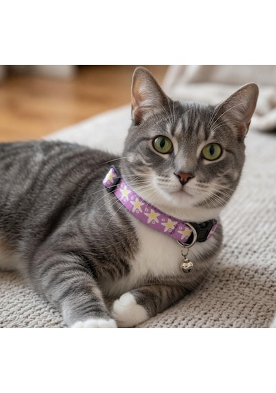 Patibon Galaxy Harmony Kedi Boyun Tasması, Mor, Özel Koleksiyon