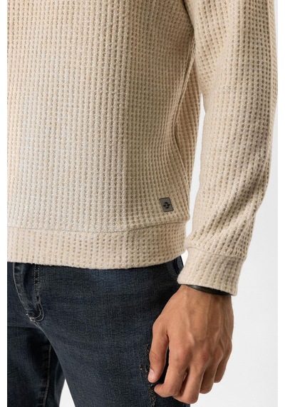 Backandbond Bej Regular Fit Desenli Bisiklet Yaka Sweatshirt