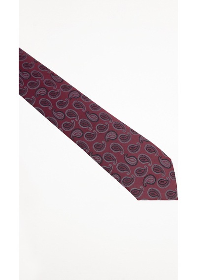 Tudors Erkek Bordo Paisley Desenli Klasik Kravat Ve Cep Mendili Takımı-51512