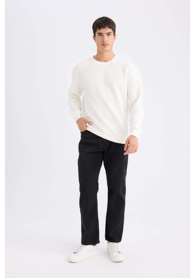 DeFacto Regular Fit Bisiklet Yaka Jakarlı Sweatshirt D5391AX24AUWT32