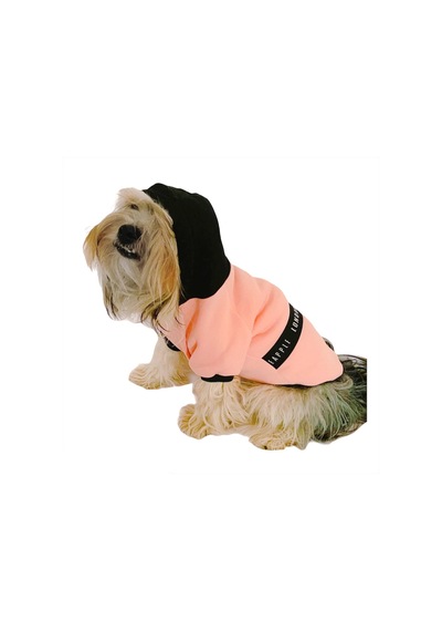 Kemique London Pineapple Kapüşonlu Köpek Sweatshirt Kemique London Pineapple Kapüşonlu Köpek Sweatshirt