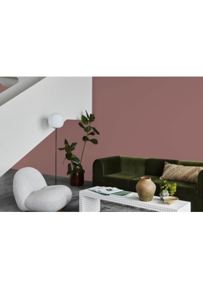 Jotun Red Maple 2727 Fenomastic Güzel Evim Serisi Zengin Mat