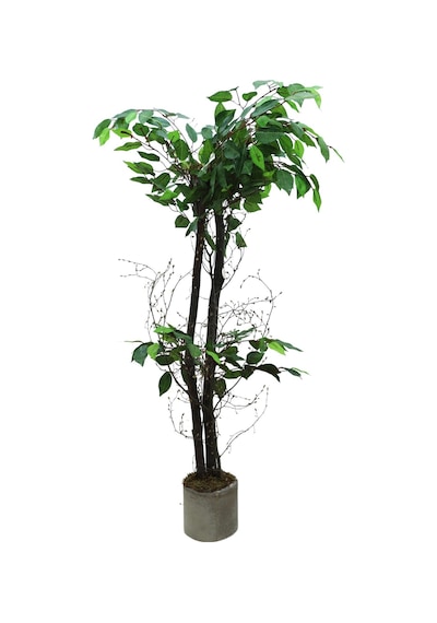Cihan Çiçekçilik Benjamim 100 Cm Yapay Ağaç 12x12 Metal Saksı Beyaz- Yeşil