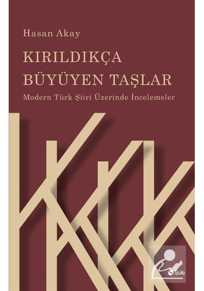 Kırıldıkça Büyüyen Taşlar / Prof. Dr. Hasan Akay