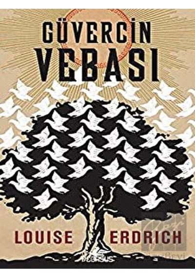 Güvercin Vebası Pegasus Yayınları - Pegasus Yayınları