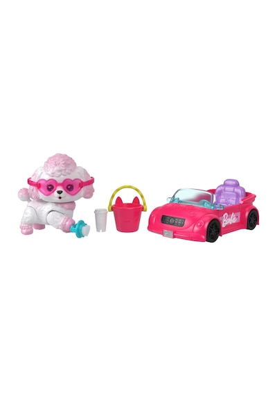 Barbie Dream Squad Renk Aksesuarlı Yavru Köp Jmw94 Seri 1